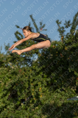 2017 - 8. Sofia Diving Cup 2017 - 8. Sofia Diving Cup 03012_14924.jpg