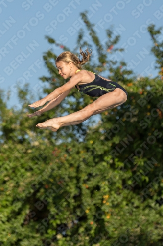 2017 - 8. Sofia Diving Cup 2017 - 8. Sofia Diving Cup 03012_14937.jpg