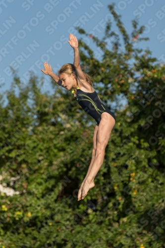 2017 - 8. Sofia Diving Cup 2017 - 8. Sofia Diving Cup 03012_14939.jpg