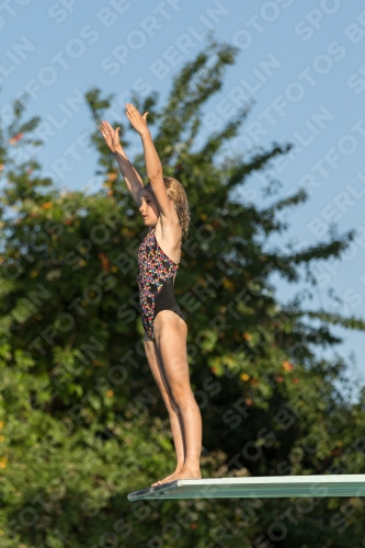2017 - 8. Sofia Diving Cup 2017 - 8. Sofia Diving Cup 03012_14943.jpg