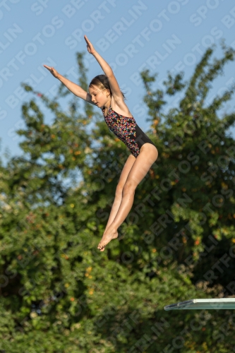 2017 - 8. Sofia Diving Cup 2017 - 8. Sofia Diving Cup 03012_14944.jpg