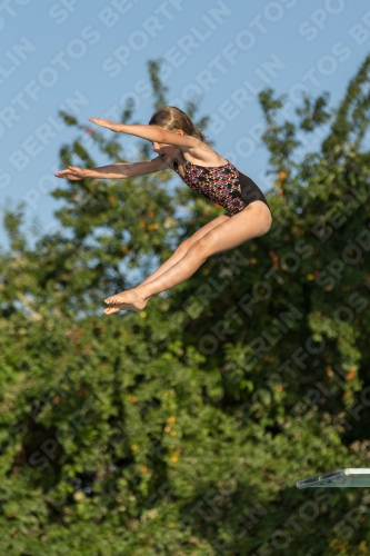 2017 - 8. Sofia Diving Cup 2017 - 8. Sofia Diving Cup 03012_14945.jpg