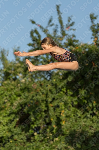 2017 - 8. Sofia Diving Cup 2017 - 8. Sofia Diving Cup 03012_14947.jpg