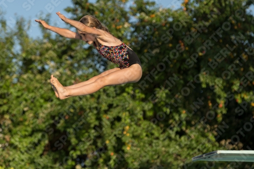 2017 - 8. Sofia Diving Cup 2017 - 8. Sofia Diving Cup 03012_14948.jpg