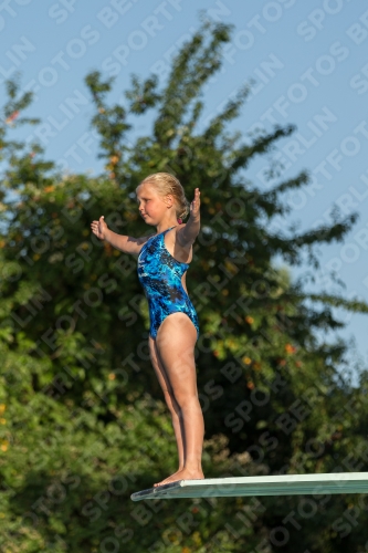 2017 - 8. Sofia Diving Cup 2017 - 8. Sofia Diving Cup 03012_14949.jpg