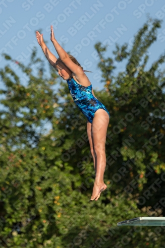 2017 - 8. Sofia Diving Cup 2017 - 8. Sofia Diving Cup 03012_14950.jpg