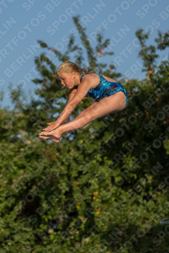 2017 - 8. Sofia Diving Cup 2017 - 8. Sofia Diving Cup 03012_14953.jpg