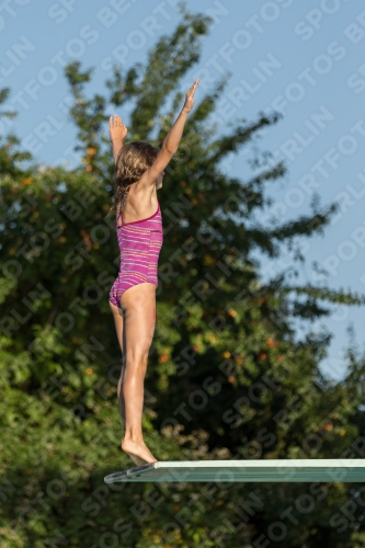 2017 - 8. Sofia Diving Cup 2017 - 8. Sofia Diving Cup 03012_14954.jpg