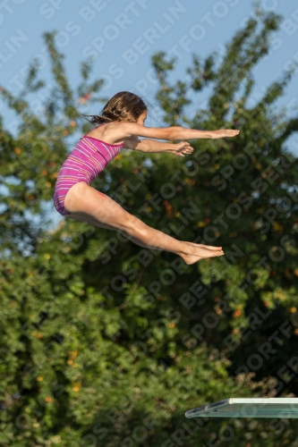 2017 - 8. Sofia Diving Cup 2017 - 8. Sofia Diving Cup 03012_14955.jpg