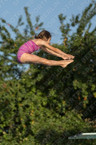 2017 - 8. Sofia Diving Cup 2017 - 8. Sofia Diving Cup 03012_14956.jpg