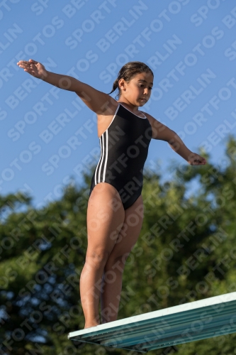 2017 - 8. Sofia Diving Cup 2017 - 8. Sofia Diving Cup 03012_14960.jpg