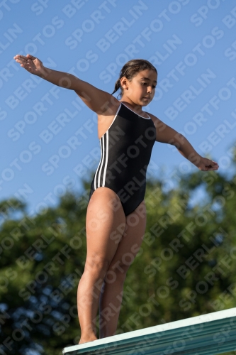 2017 - 8. Sofia Diving Cup 2017 - 8. Sofia Diving Cup 03012_14961.jpg