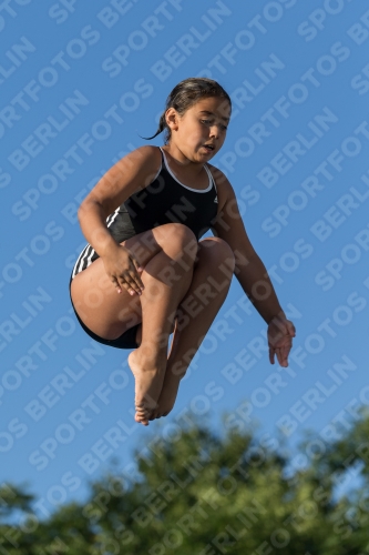 2017 - 8. Sofia Diving Cup 2017 - 8. Sofia Diving Cup 03012_14963.jpg