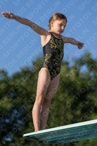 2017 - 8. Sofia Diving Cup 2017 - 8. Sofia Diving Cup 03012_14966.jpg