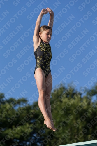 2017 - 8. Sofia Diving Cup 2017 - 8. Sofia Diving Cup 03012_14969.jpg