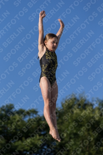 2017 - 8. Sofia Diving Cup 2017 - 8. Sofia Diving Cup 03012_14970.jpg