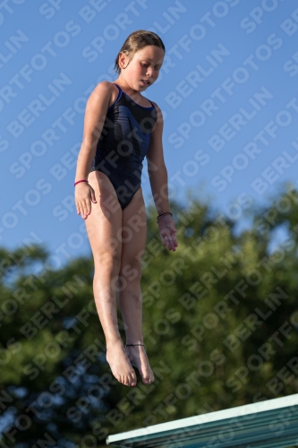 2017 - 8. Sofia Diving Cup 2017 - 8. Sofia Diving Cup 03012_14973.jpg