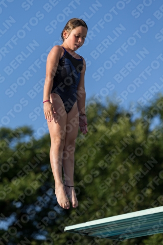 2017 - 8. Sofia Diving Cup 2017 - 8. Sofia Diving Cup 03012_14974.jpg