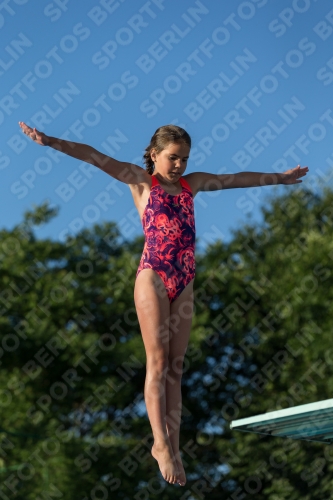 2017 - 8. Sofia Diving Cup 2017 - 8. Sofia Diving Cup 03012_14988.jpg