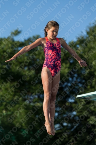 2017 - 8. Sofia Diving Cup 2017 - 8. Sofia Diving Cup 03012_14989.jpg
