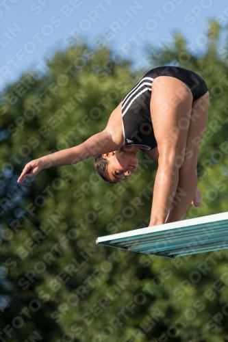 2017 - 8. Sofia Diving Cup 2017 - 8. Sofia Diving Cup 03012_15001.jpg