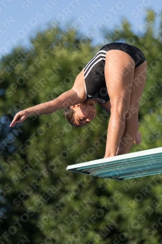 2017 - 8. Sofia Diving Cup 2017 - 8. Sofia Diving Cup 03012_15002.jpg