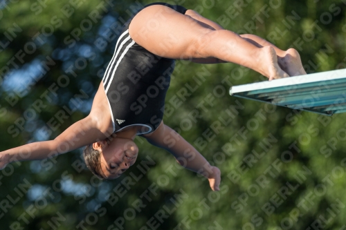 2017 - 8. Sofia Diving Cup 2017 - 8. Sofia Diving Cup 03012_15003.jpg