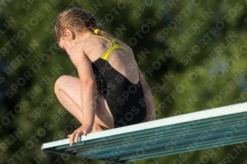 2017 - 8. Sofia Diving Cup 2017 - 8. Sofia Diving Cup 03012_15006.jpg