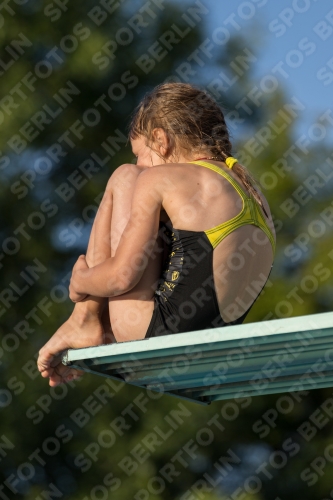 2017 - 8. Sofia Diving Cup 2017 - 8. Sofia Diving Cup 03012_15008.jpg