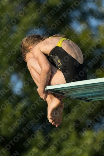2017 - 8. Sofia Diving Cup 2017 - 8. Sofia Diving Cup 03012_15009.jpg