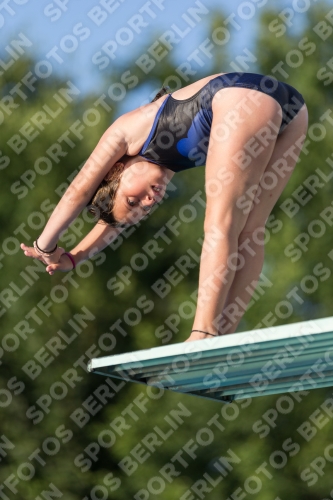 2017 - 8. Sofia Diving Cup 2017 - 8. Sofia Diving Cup 03012_15011.jpg