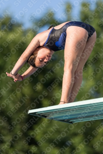 2017 - 8. Sofia Diving Cup 2017 - 8. Sofia Diving Cup 03012_15012.jpg