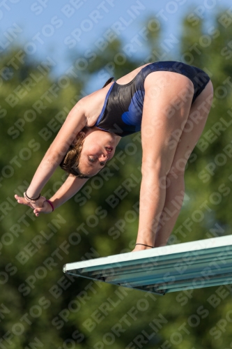2017 - 8. Sofia Diving Cup 2017 - 8. Sofia Diving Cup 03012_15013.jpg