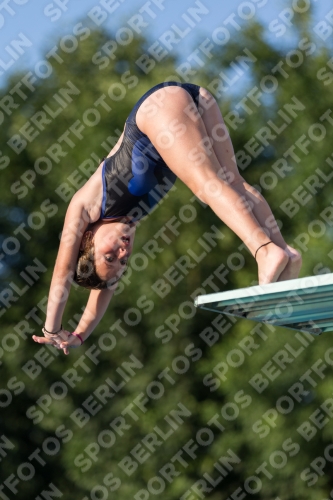 2017 - 8. Sofia Diving Cup 2017 - 8. Sofia Diving Cup 03012_15014.jpg