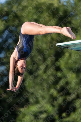 2017 - 8. Sofia Diving Cup 2017 - 8. Sofia Diving Cup 03012_15016.jpg