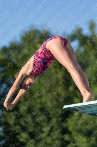2017 - 8. Sofia Diving Cup 2017 - 8. Sofia Diving Cup 03012_15019.jpg