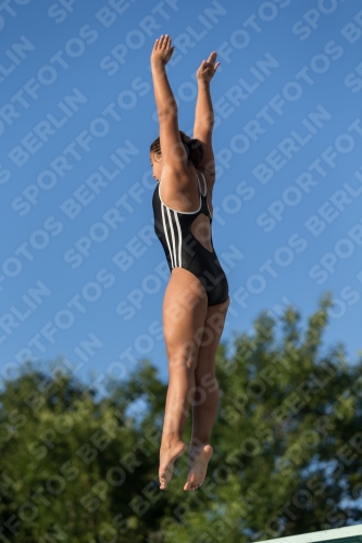 2017 - 8. Sofia Diving Cup 2017 - 8. Sofia Diving Cup 03012_15023.jpg