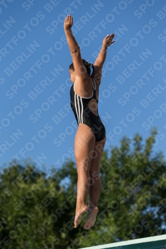 2017 - 8. Sofia Diving Cup 2017 - 8. Sofia Diving Cup 03012_15024.jpg