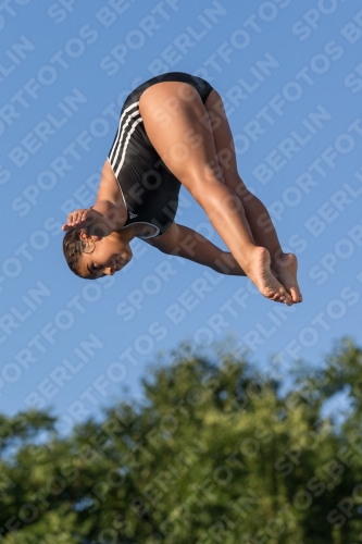 2017 - 8. Sofia Diving Cup 2017 - 8. Sofia Diving Cup 03012_15028.jpg