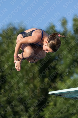2017 - 8. Sofia Diving Cup 2017 - 8. Sofia Diving Cup 03012_15036.jpg
