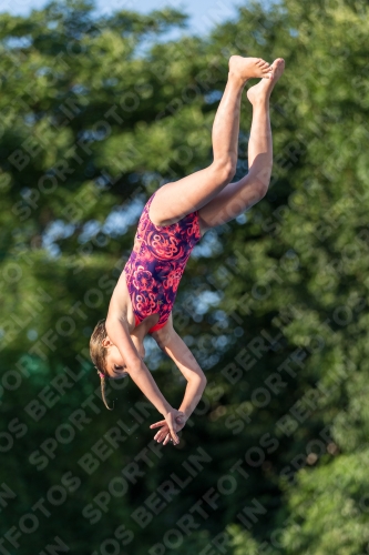 2017 - 8. Sofia Diving Cup 2017 - 8. Sofia Diving Cup 03012_15043.jpg