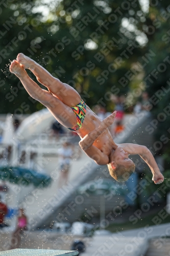 2017 - 8. Sofia Diving Cup 2017 - 8. Sofia Diving Cup 03012_15093.jpg