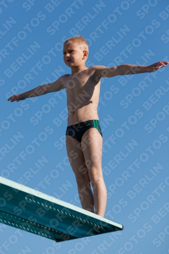 2017 - 8. Sofia Diving Cup 2017 - 8. Sofia Diving Cup 03012_15118.jpg