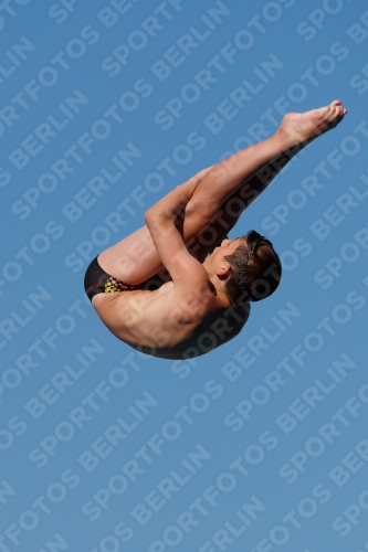 2017 - 8. Sofia Diving Cup 2017 - 8. Sofia Diving Cup 03012_15314.jpg