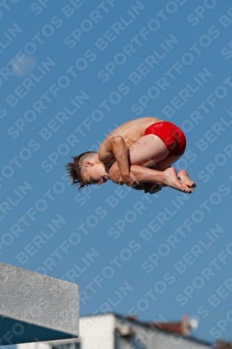 2017 - 8. Sofia Diving Cup 2017 - 8. Sofia Diving Cup 03012_15325.jpg