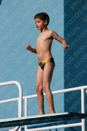 2017 - 8. Sofia Diving Cup 2017 - 8. Sofia Diving Cup 03012_15377.jpg