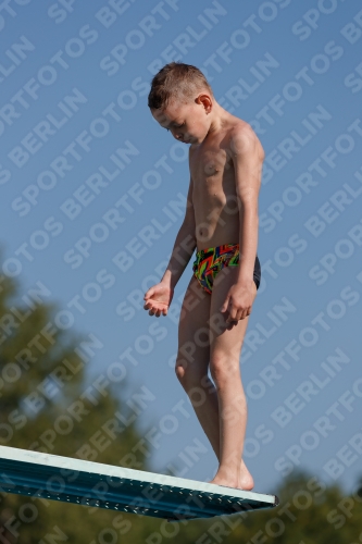 2017 - 8. Sofia Diving Cup 2017 - 8. Sofia Diving Cup 03012_15386.jpg