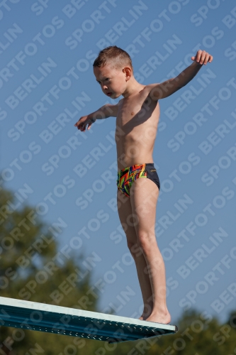 2017 - 8. Sofia Diving Cup 2017 - 8. Sofia Diving Cup 03012_15387.jpg