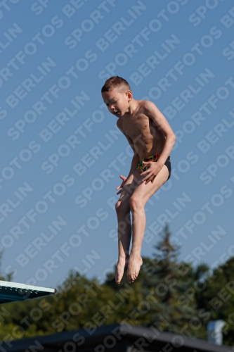 2017 - 8. Sofia Diving Cup 2017 - 8. Sofia Diving Cup 03012_15395.jpg