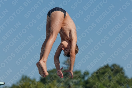 2017 - 8. Sofia Diving Cup 2017 - 8. Sofia Diving Cup 03012_15429.jpg